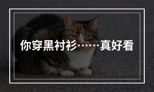 你穿黑衬衫……真好看