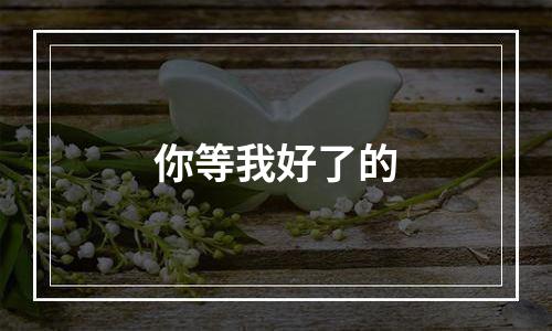 你等我好了的