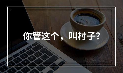 你管这个，叫村子？