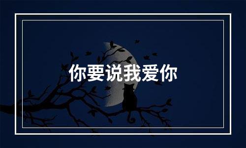 你要说我爱你
