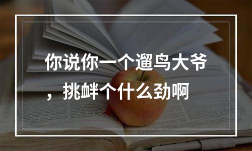 你说你一个遛鸟大爷，挑衅个什么劲啊