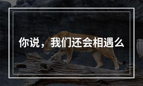 你说，我们还会相遇么