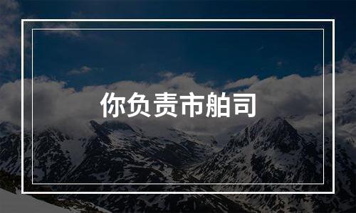 你负责市舶司
