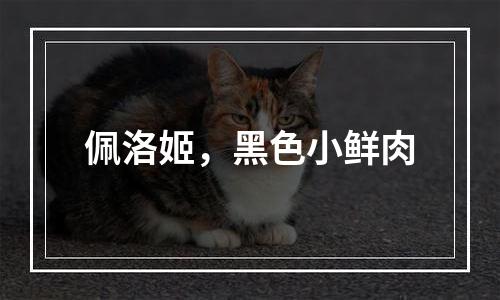 佩洛姬，黑色小鲜肉