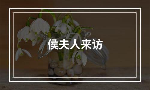 侯夫人来访