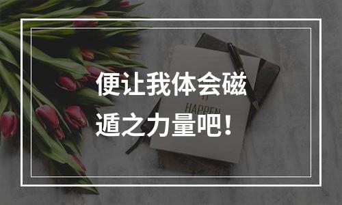 便让我体会磁遁之力量吧！