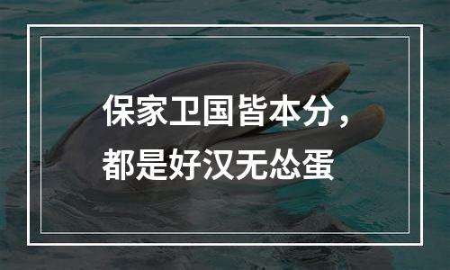 保家卫国皆本分，都是好汉无怂蛋