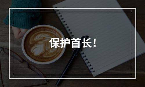 保护首长！