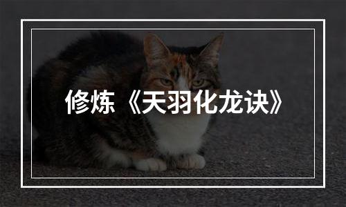 修炼《天羽化龙诀》