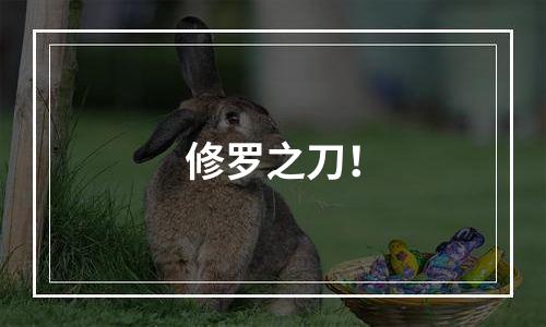 修罗之刀！