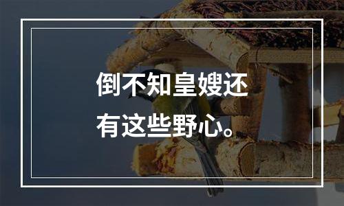 倒不知皇嫂还有这些野心。
