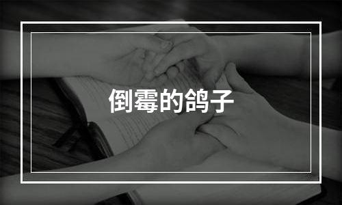 倒霉的鸽子