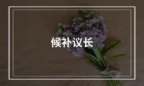 候补议长