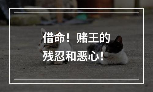 借命！赌王的残忍和恶心！