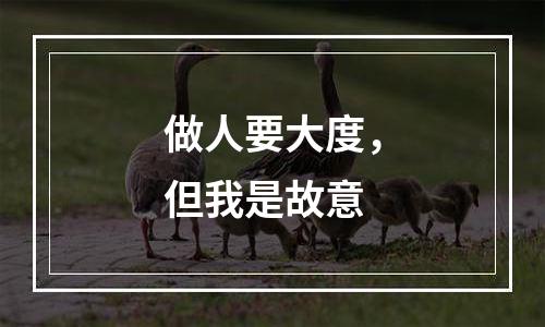 做人要大度，但我是故意