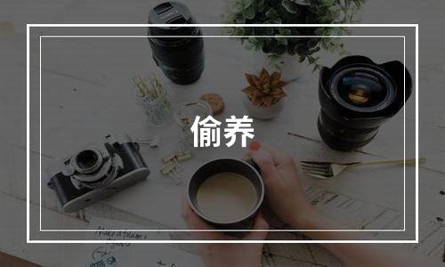偷养