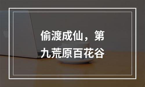 偷渡成仙，第九荒原百花谷