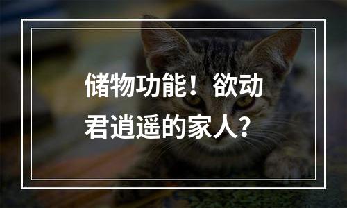 储物功能！欲动君逍遥的家人？