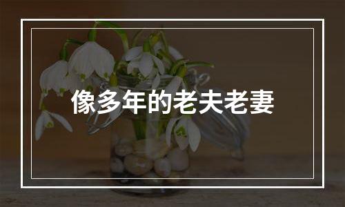 像多年的老夫老妻