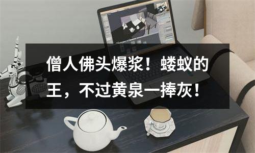 僧人佛头爆浆！蝼蚁的王，不过黄泉一捧灰！