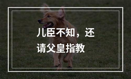 儿臣不知，还请父皇指教