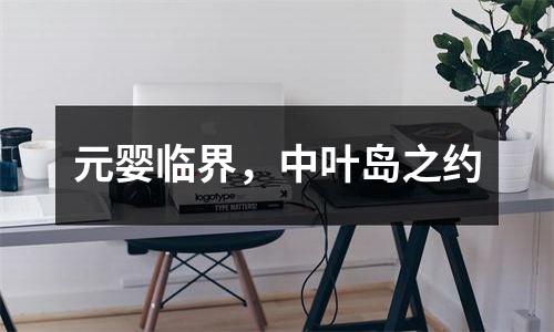 元婴临界，中叶岛之约