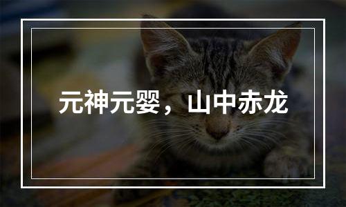 元神元婴，山中赤龙