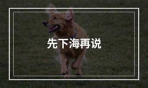 先下海再说