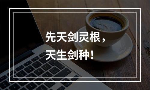 先天剑灵根，天生剑种！