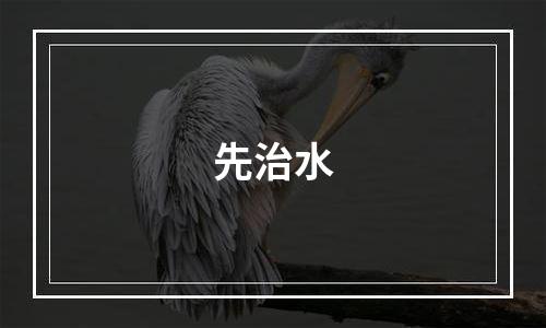 先治水