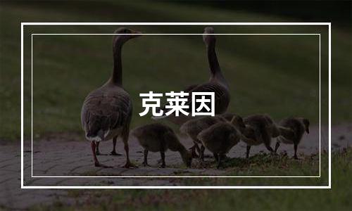 克莱因