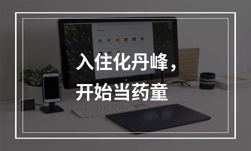 入住化丹峰，开始当药童