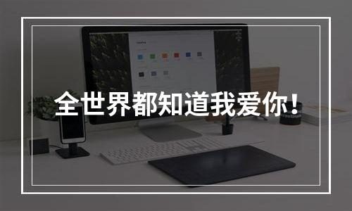 全世界都知道我爱你！