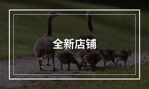 全新店铺