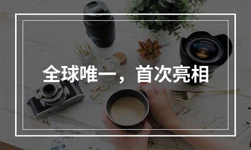 全球唯一，首次亮相