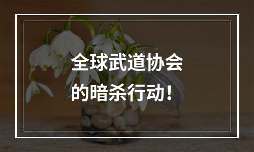 全球武道协会的暗杀行动！