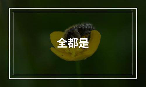 全都是