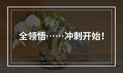全领悟……冲刺开始！