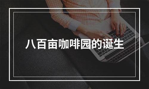 八百亩咖啡园的诞生