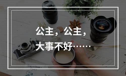 公主，公主，大事不好……