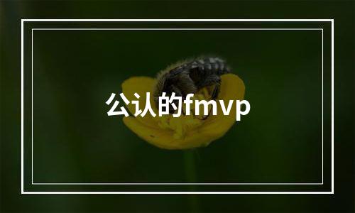 公认的fmvp