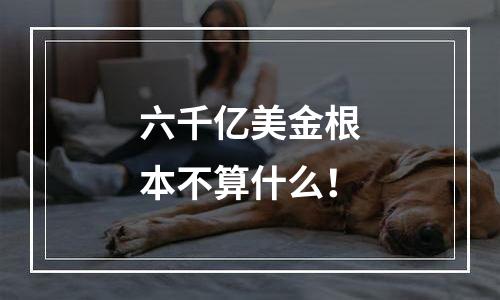 六千亿美金根本不算什么！