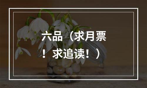 六品（求月票！求追读！）