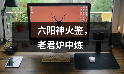 六阳神火鉴，老君炉中炼