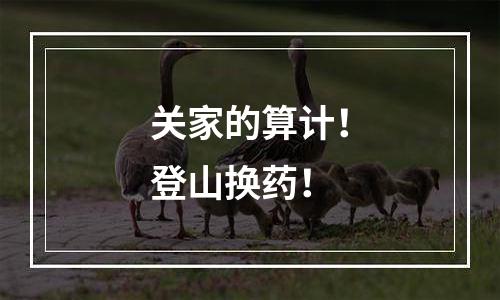 关家的算计！登山换药！