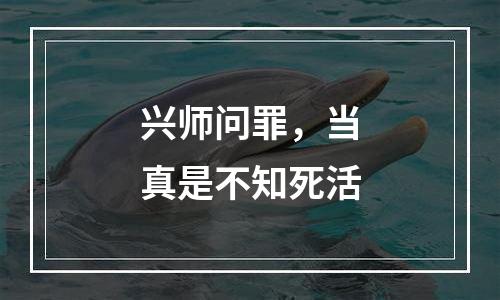 兴师问罪，当真是不知死活