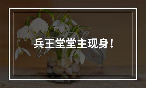 兵王堂堂主现身！