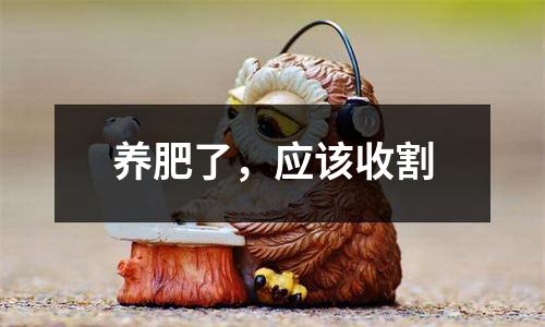 养肥了，应该收割
