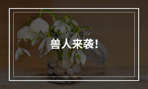兽人来袭！