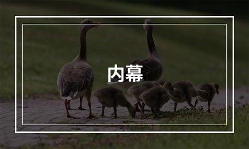内幕